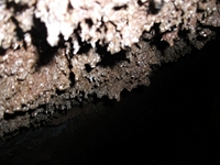 Grotta_dei_Lamponi - 27052012 310.jpg